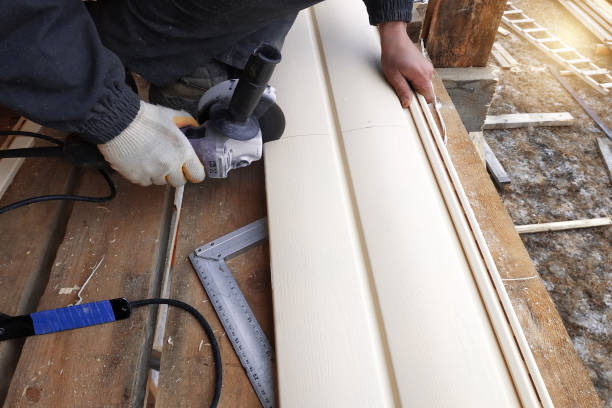Best Fascia and Soffit Installation  in Boles Acres, NM