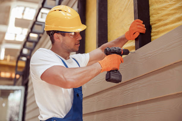 Best Custom Trim and Detailing for Siding  in Boles Acres, NM